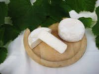 camembert