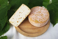 halbfesterSchnittkaese